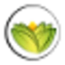 The Ayurveda Experience Coupon Codes